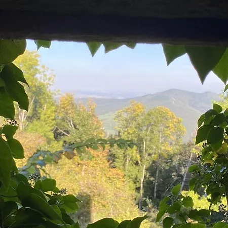 Apartment Beautiful Near The La Vancelle
