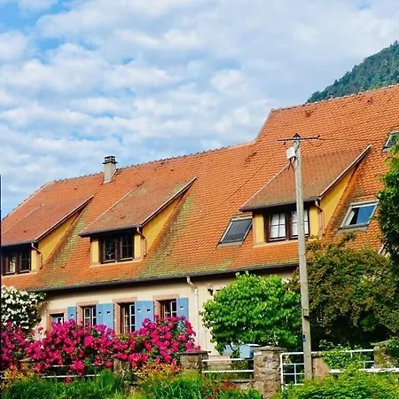 Apartment Beautiful Near The