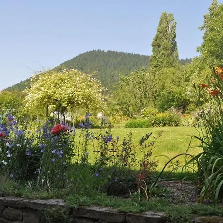 Beautiful Near The La Vancelle
