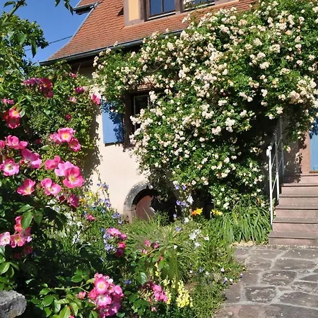 Apartment Beautiful Near The *